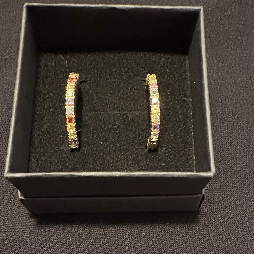 Elegant Multi-Color Hoop Earrings